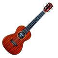 Kahuna KUC30 S-Y Zebrawood Concert Ukulele With Hardcase