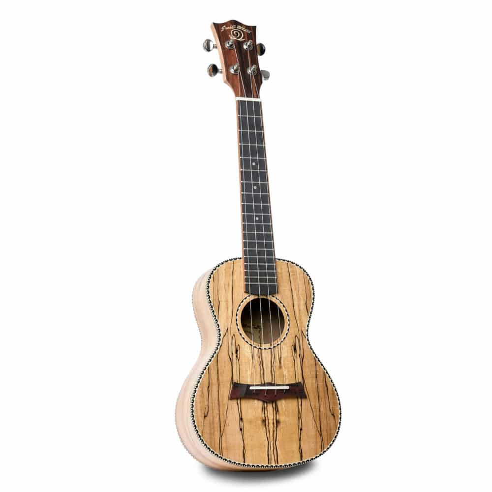 Snail UKC-490E Spalted Maple Concert Ukulele & Gigbag