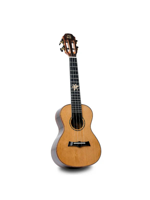 Snail Ukuleles BHC-6C Cedar Top Concert Ukulele