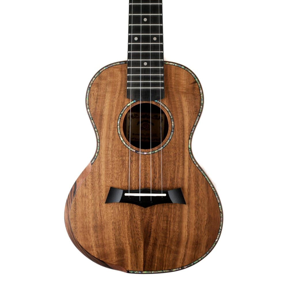 Snail Ukuleles SR-05CE Solid Koa Top Ebony Fingerboard Concert Ukulele & Gigbag