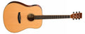 Tanglewood Roadster X Series TRX5E Guitar