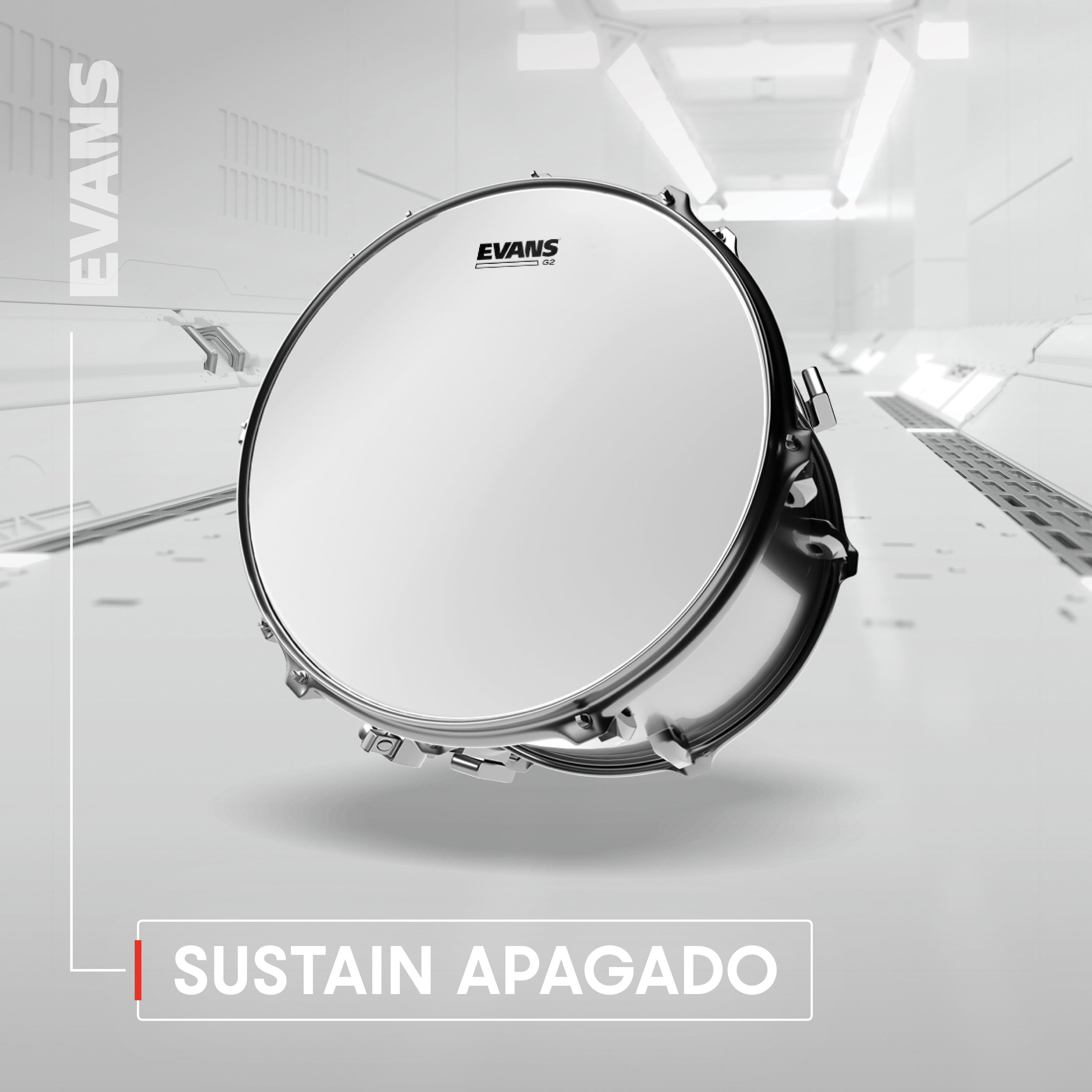 EVANS G2 Coated Snare Batter Drumhead 14 Inch